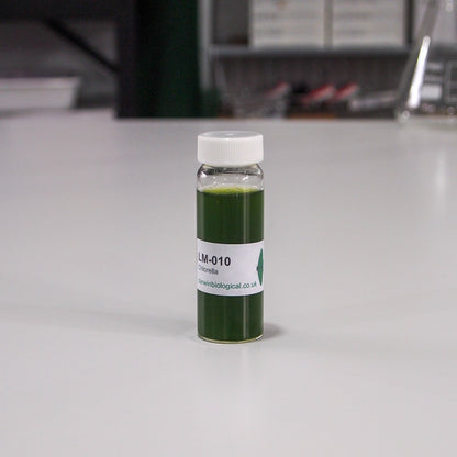 NWY CHLORELLA CP 100