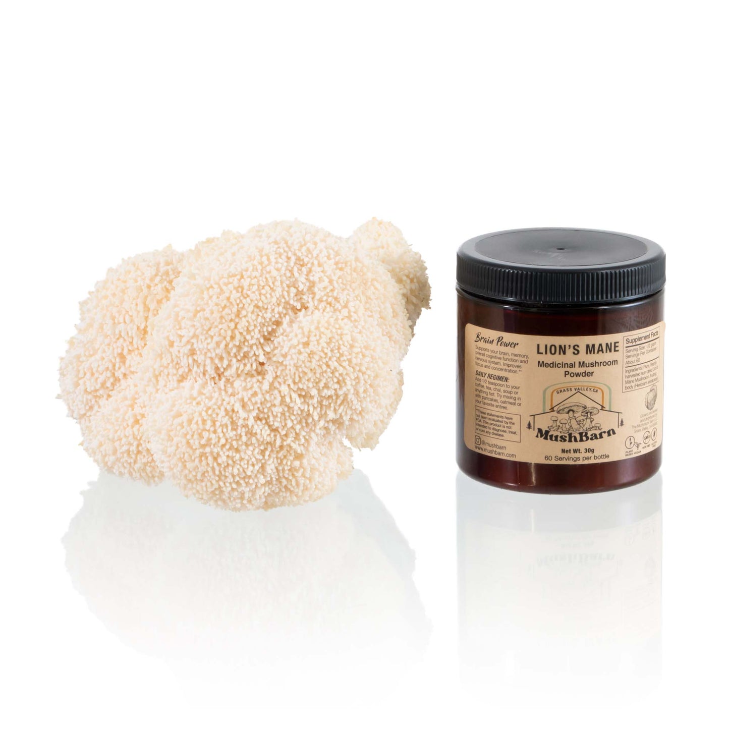 MUSH,SPRFD,LIONS MANE