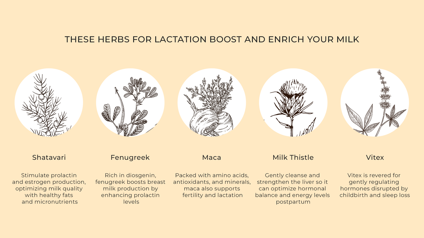 HERB PHARM MOTHERS LACTATION
