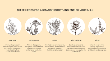 HERB PHARM MOTHERS LACTATION