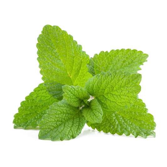 NATURE'S WAY MELISSA-LEMON BALM