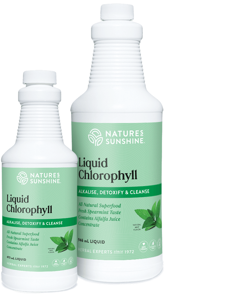 NATURE'S ANSWER CHLOROPHYLL LIQUID
