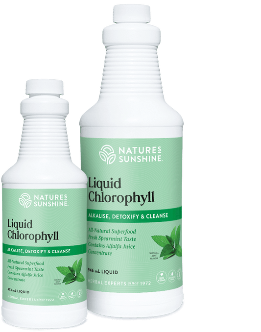 NATURE'S ANSWER CHLOROPHYLL LIQUID
