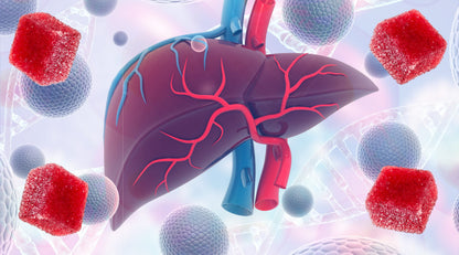 GUMMIES,ACTIVE LIVER