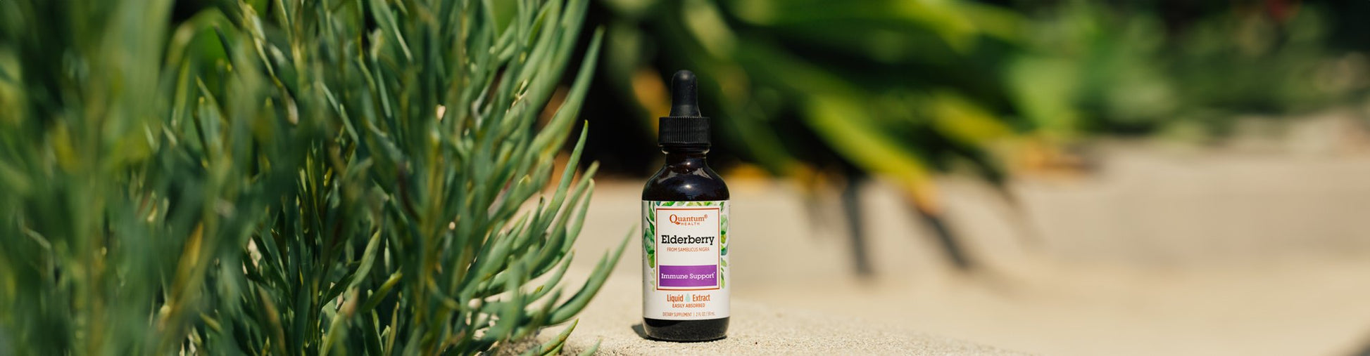 QUANTUM HEALTH ELDERBERRY EXTRACT,400MG