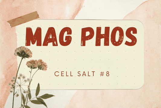 HYLAND'S MAG PHOS 6X #8 CELL SALT