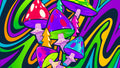 MELTING FOREST SPK,D-STRESS,WTRMLN ELDRF