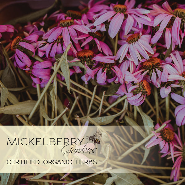 HONEY GARDENS PROPOLIS SPRAY