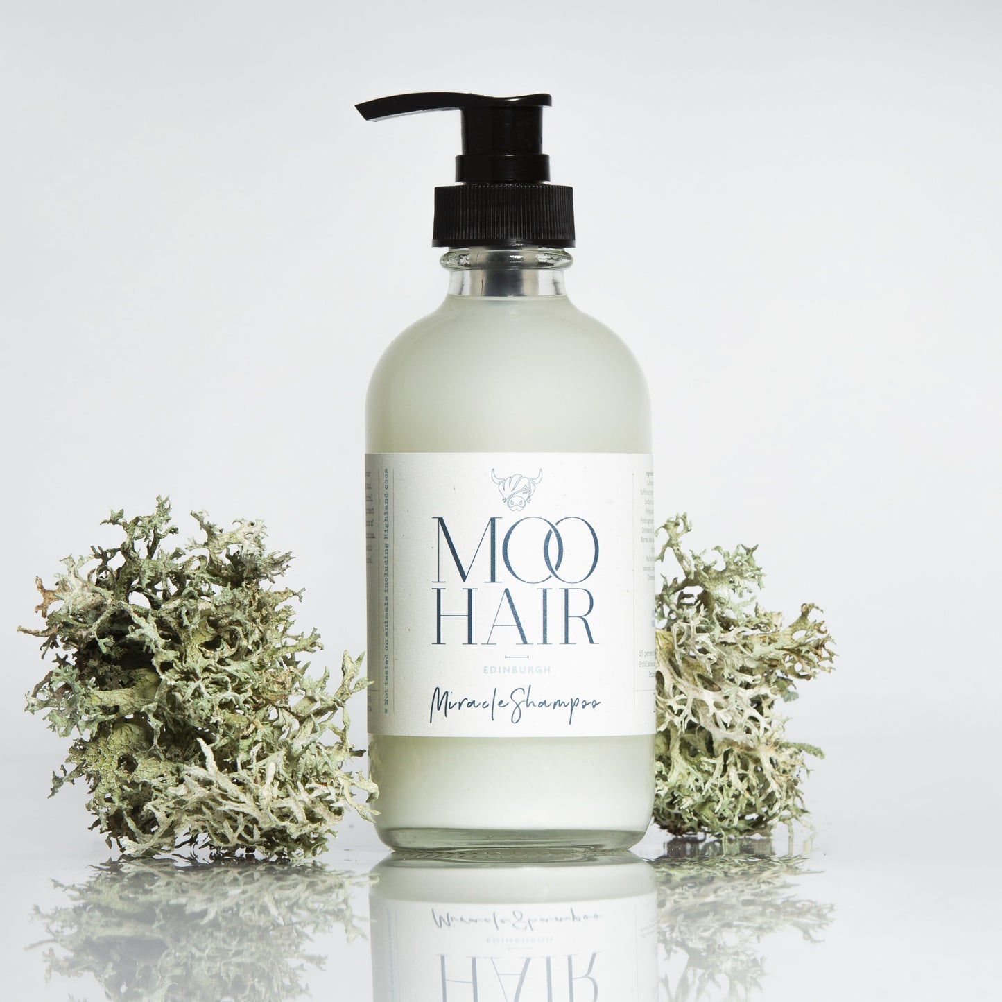 M/A AO Shampoo 8.40OZ