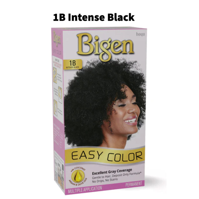 Bigen Easy Color #1N Natural Black Kit