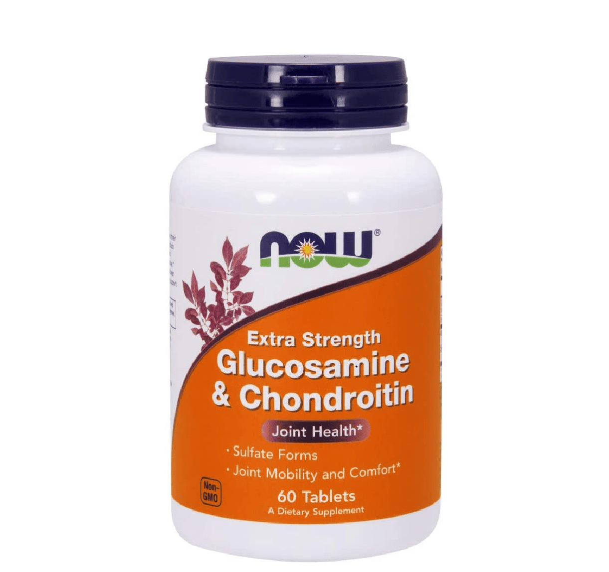 GLUCOSAM CHOND TB 60 PL MSM TS