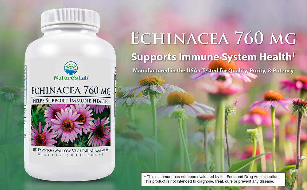 NT ECHINACEA CP 650MG 100 VCP G/F