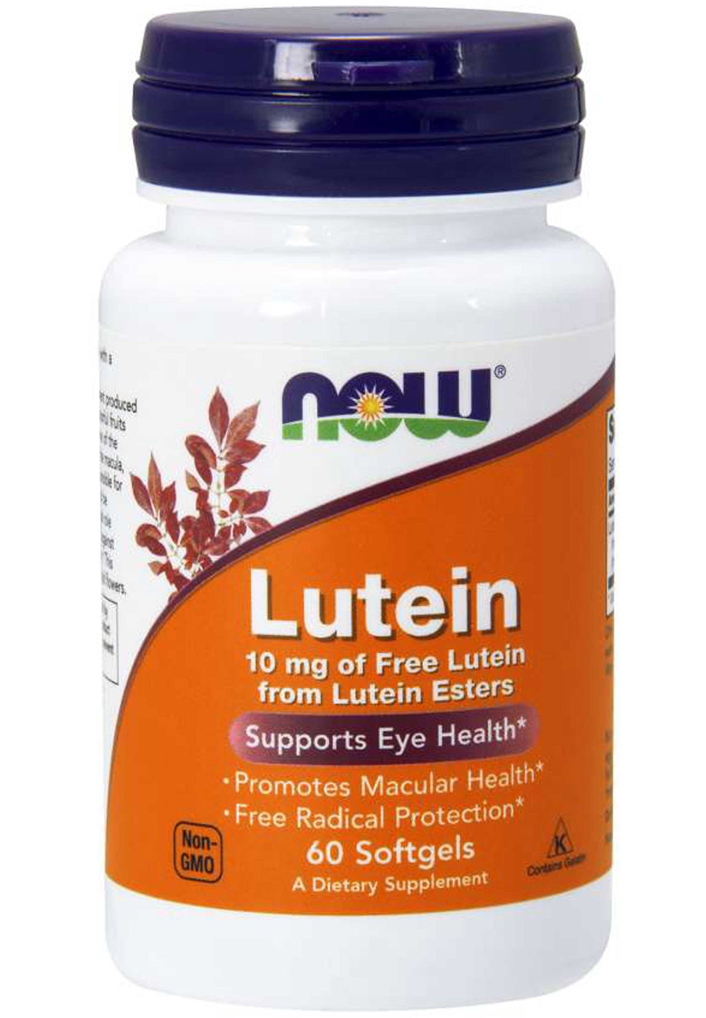 LUTEIN TB 10MG 60