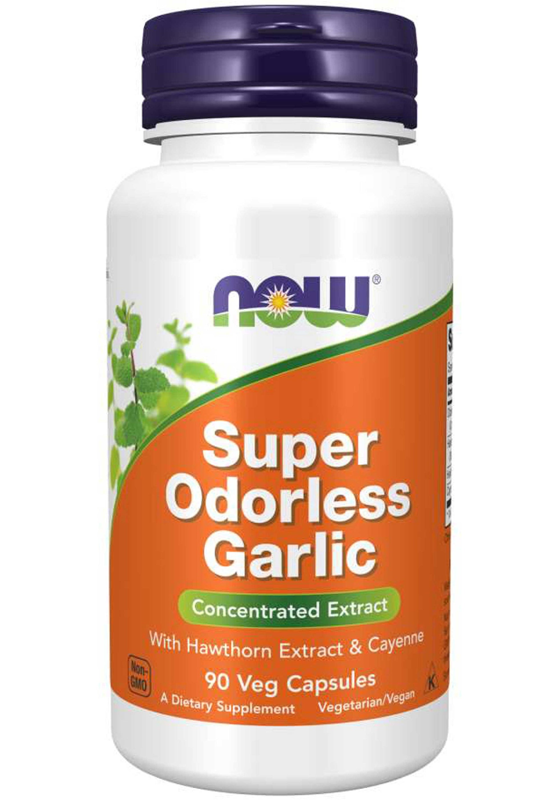 GNP GARLIC ODORLESS TAB 90CT