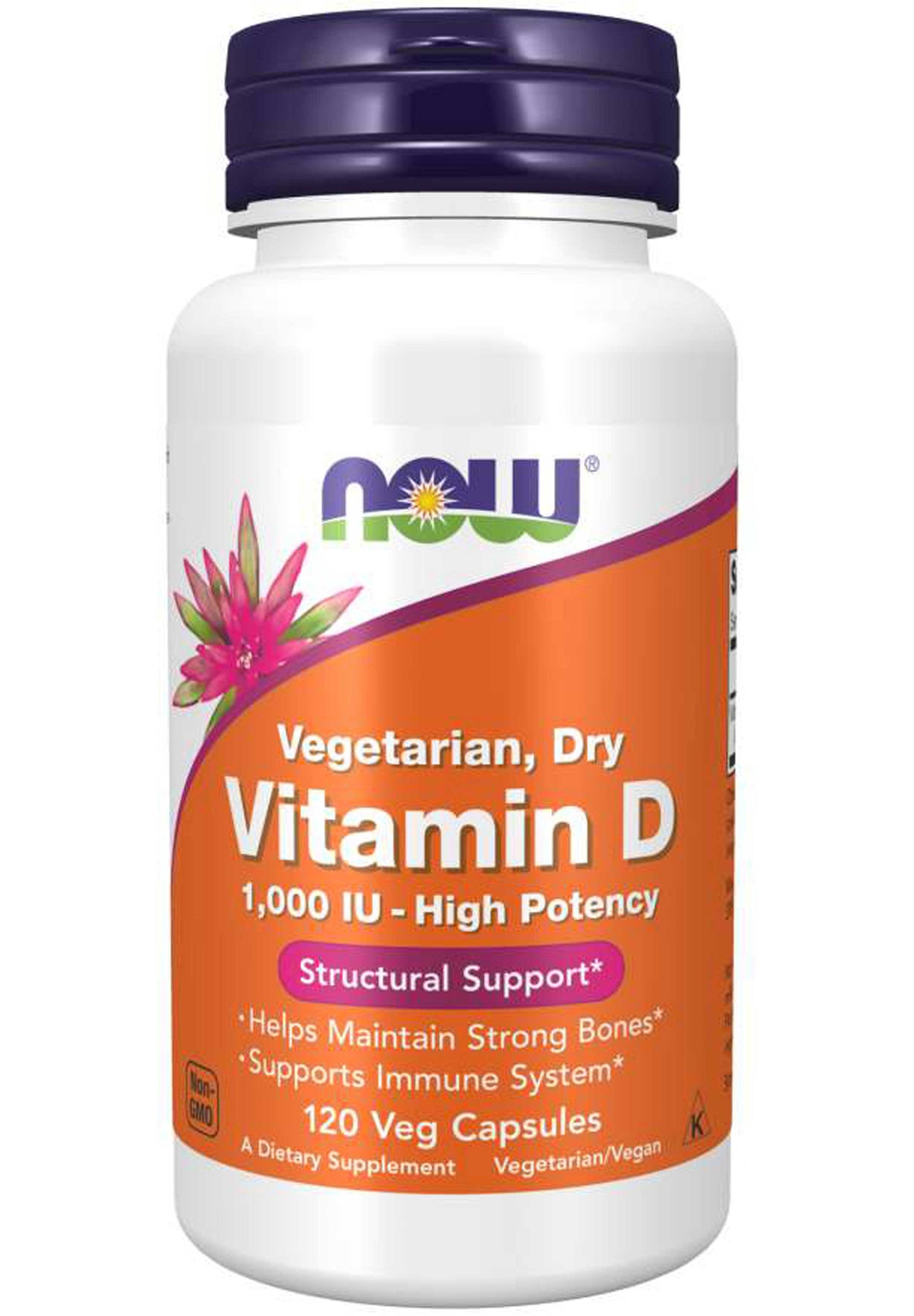 GNP VIT D 1000 IU TAB 100