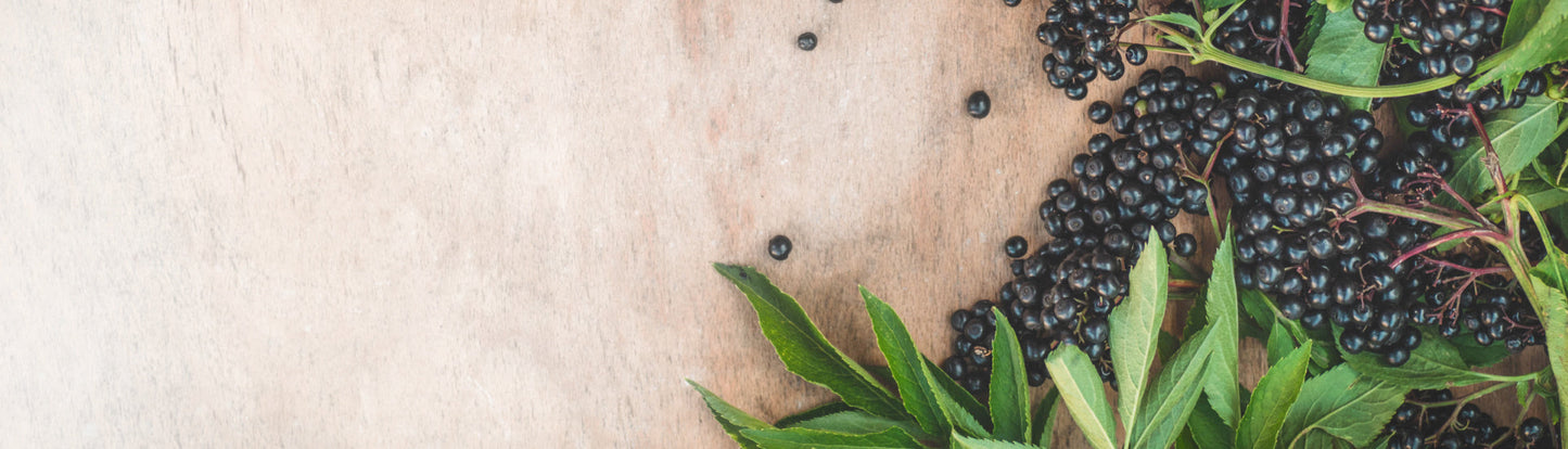 NATURE'S WAY ELDERBERRY