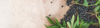 NATURE'S WAY ELDERBERRY