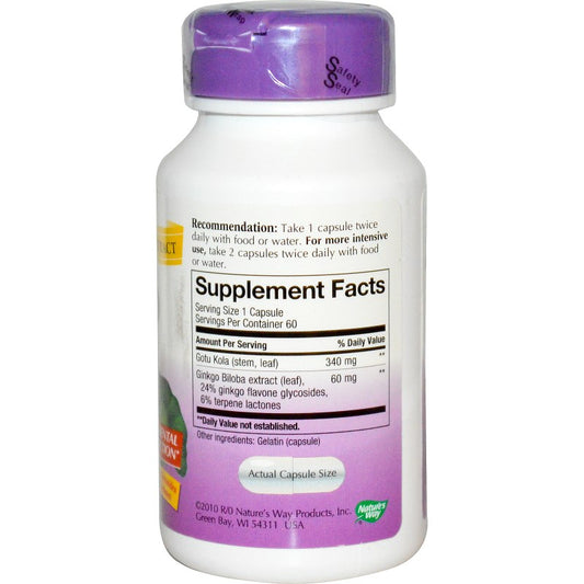 NATURE'S WAY GINKGO EXTRACT