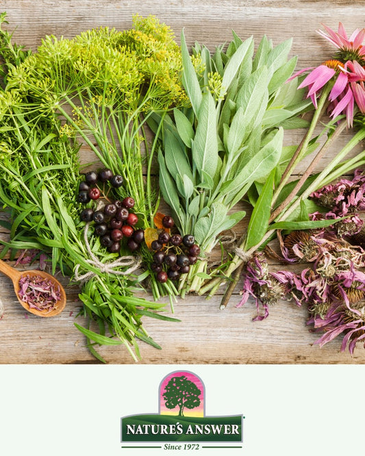 NATURE'S ANSWER AF ALFAFA HERB