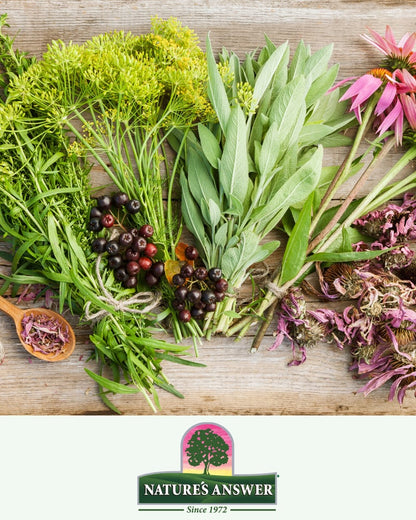 NATURE'S ANSWER THYME HERB