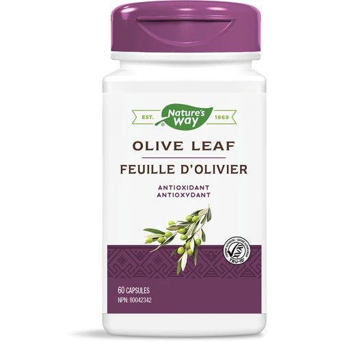 NATURE'S WAY OLIVE LEAF 20% EXTRACT