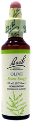 BACH OLIVE
