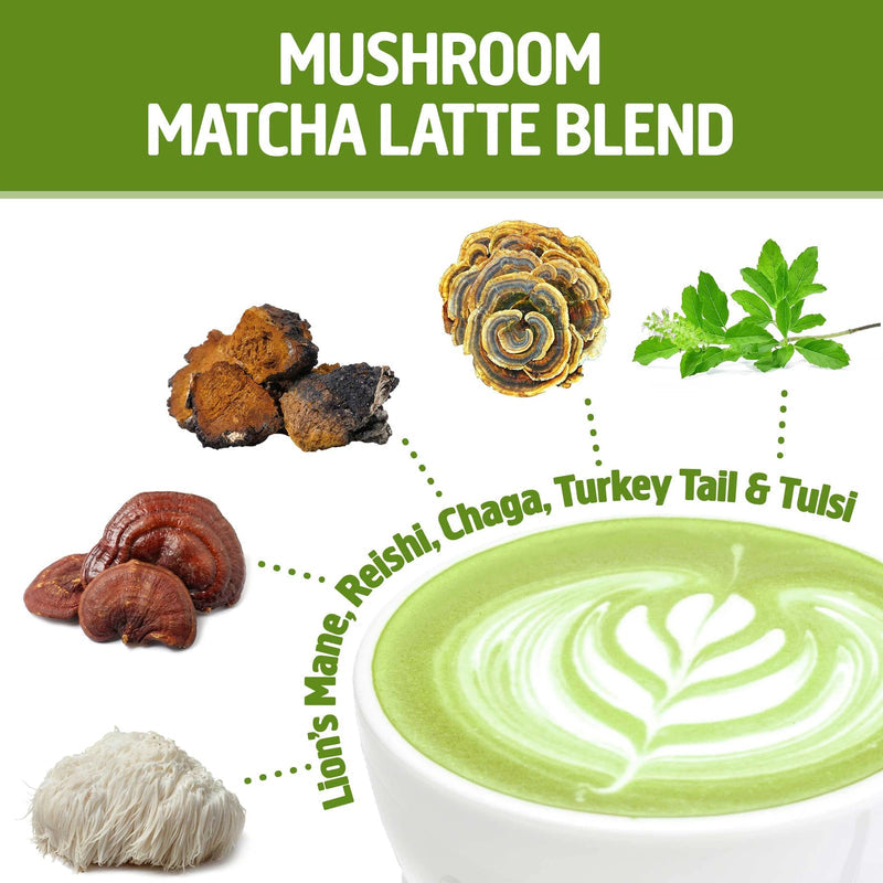 OM MATCHA LTE,OG2,MSHRM PWDR