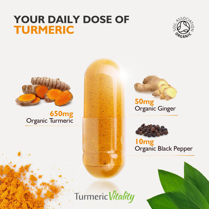 TURMERIC 1600MG RR SGC 60CT NAT TRU