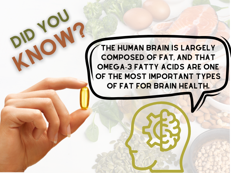 OMEGA 3, BRAIN