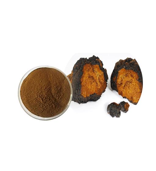 NATURE'S ANSWER CHAGA,MUSH EXTRACT,AF
