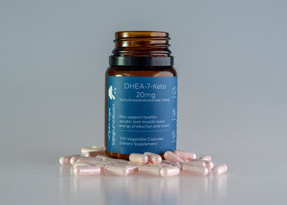 7-KETO DHE DS PWD 25 GM