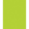 UCreate Neon Coated Poster Board, 1 count - Lime, 28" x 22"