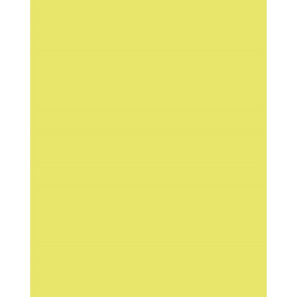 UCreate Neon Coated Poster Board, 1 count - Lemon, 28" x 22"