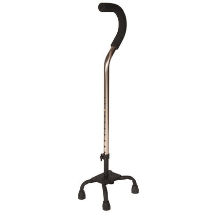CANE EQ QUAD GUARD300LBS WT CPT