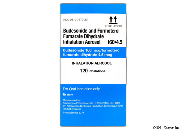 BUDES/FORMO IN 80-4.5MCG 10.2GM