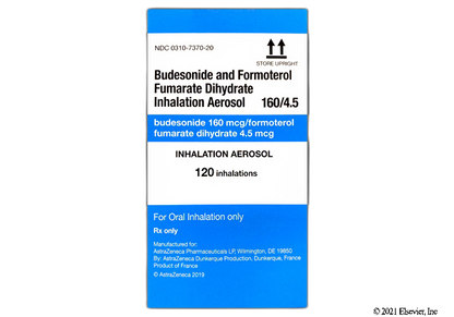 BUDES/FORMO IN 80-4.5MCG 10.2GM