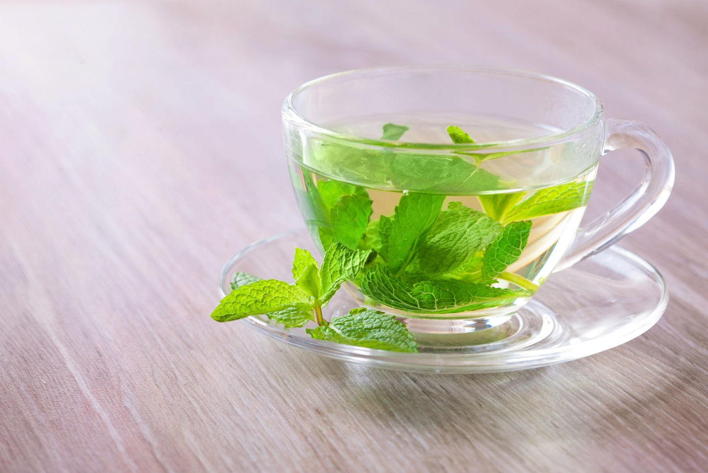 HERB TEA,PEPPERMINT