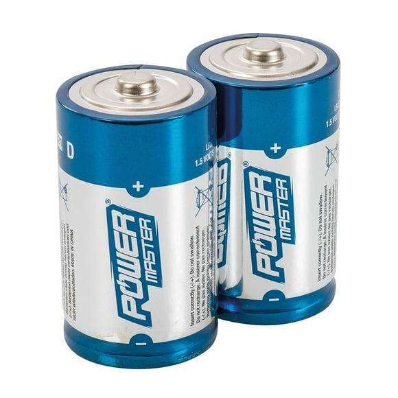 BATTERY DUR D 2PK MN1300BZ