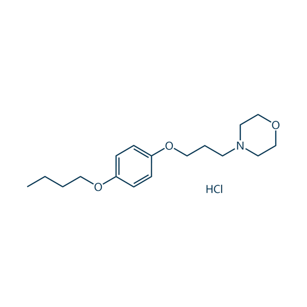 PRAMOXINE HCL 1% LOT 237 ML