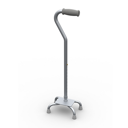 CAH CANE EQ OFFSET ADJ SILVER