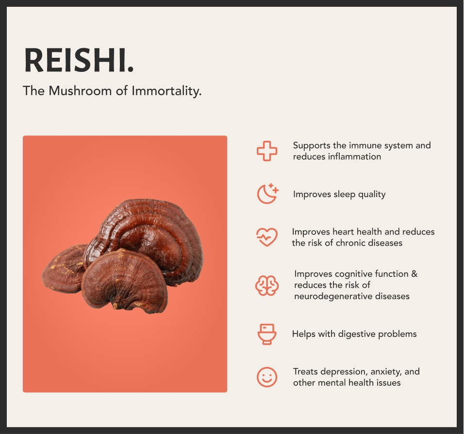 REISHI,A/F