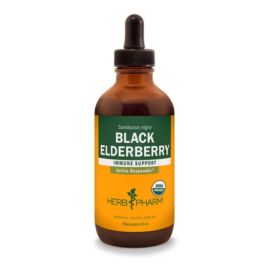 HERB PHARM BLACK ELDERBERRY EXTRACT
