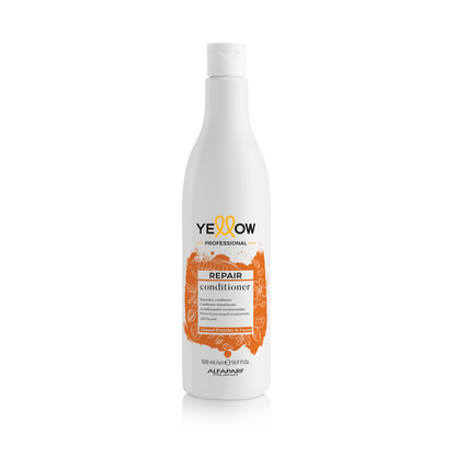 CONDITIONER,HAIR REPAIR