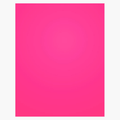 Royal Brites Fluorescent Pink Poster Board, 22" x 28"
