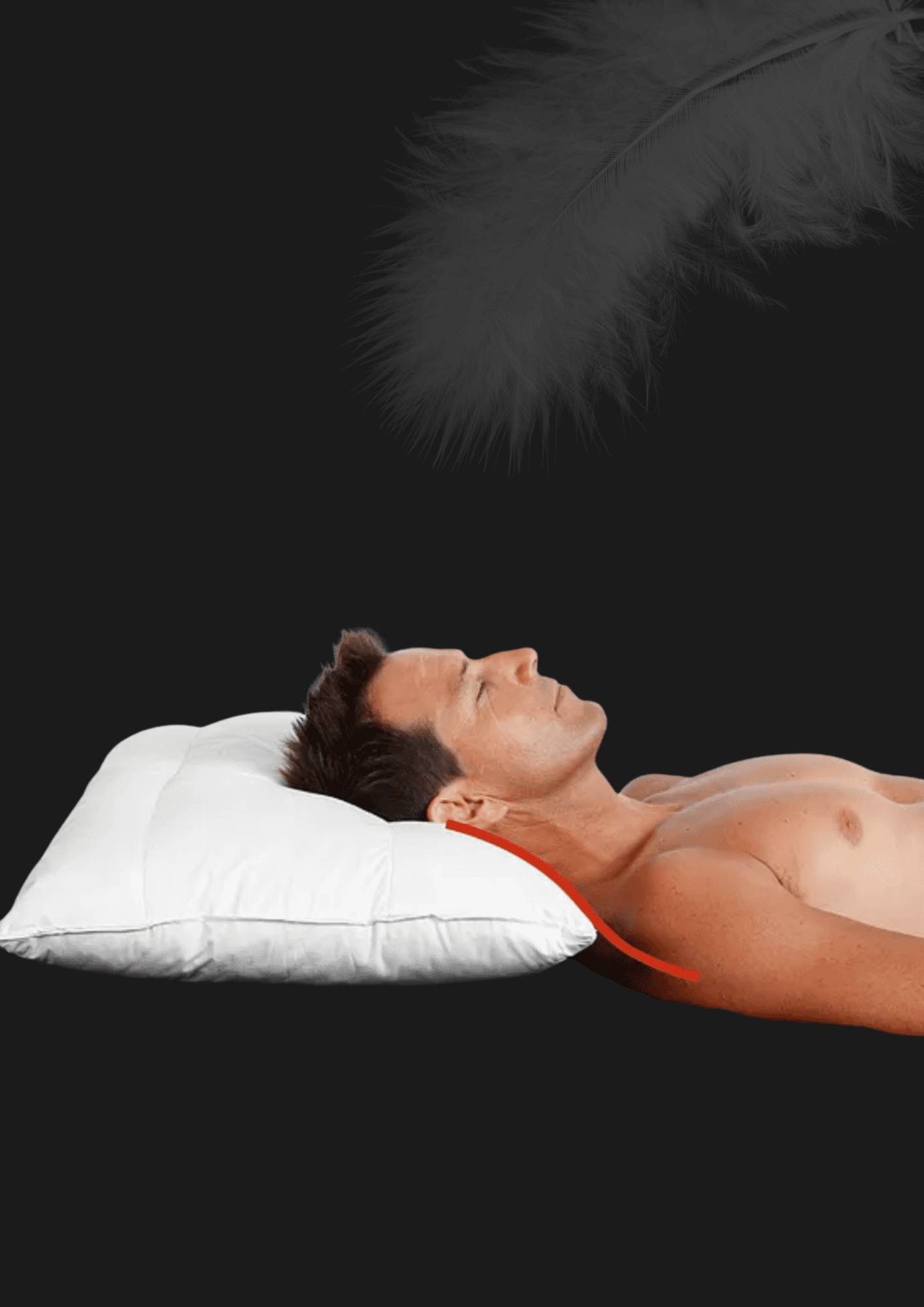ECLIPSE PILLOW