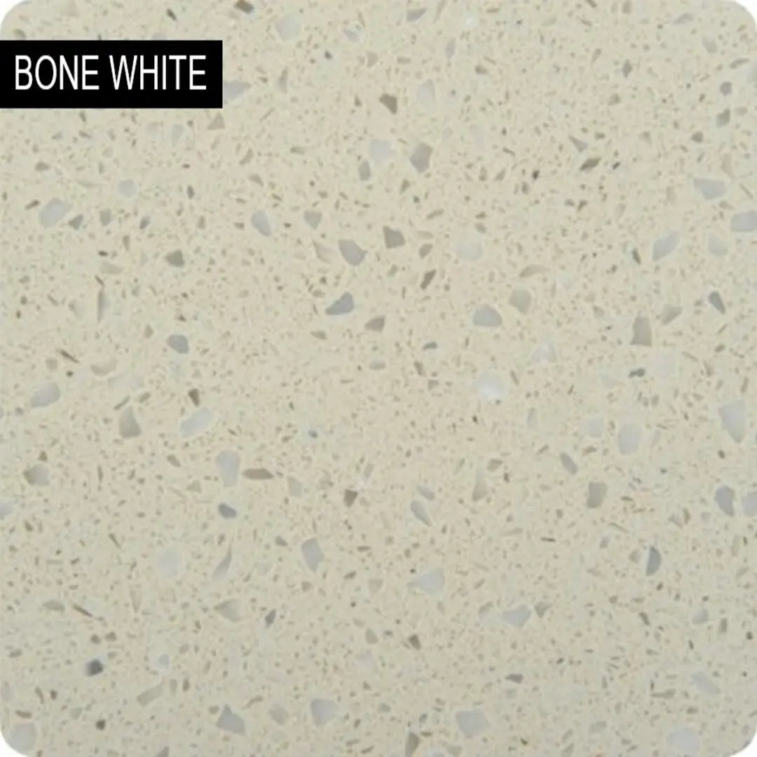 BONE SOLID