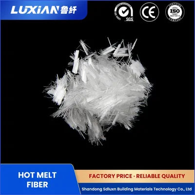 LDR DAILY FIBER CP 100% 100