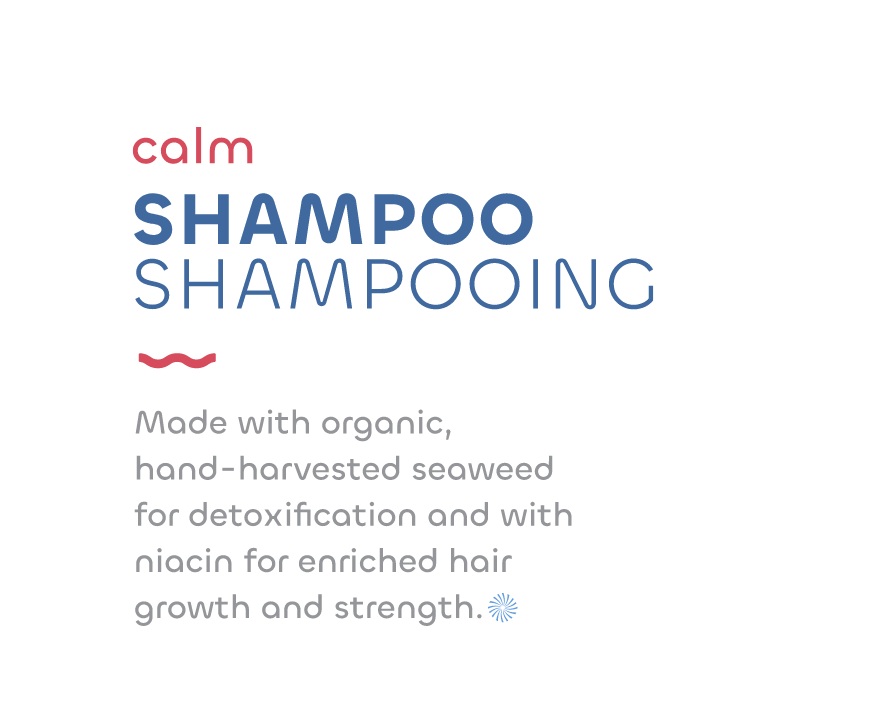 THE SEAWEED BATH CO GLOSS SHAMPOO,SSALT BRGMT