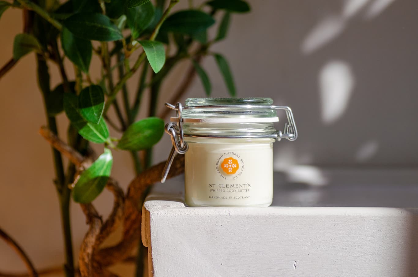 LOTION,SNSTVE CARE CLNSNG