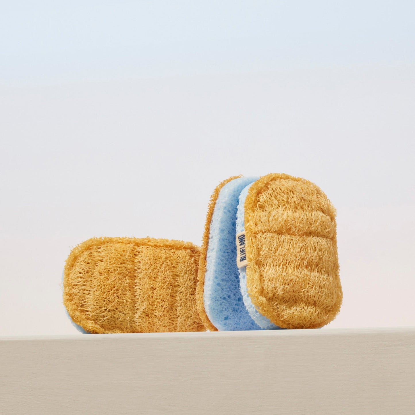 SCRUB SPONGE,PLNT BSD